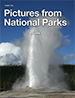 photo of book cover